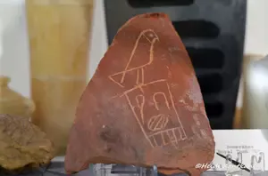 Semerkhet pottery shard Heidi