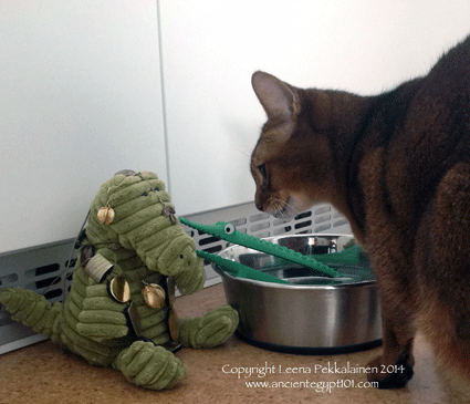 What's that in my drinking bowl?